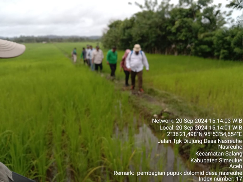 Lahan Persawahan Desa Nareuhe